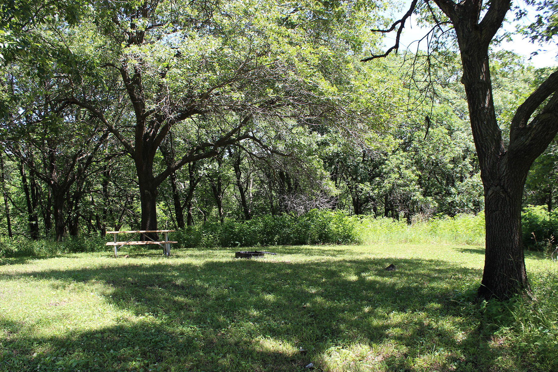 Whiterock_Conservancy.Star.Field_Campground.Site.10.JPG